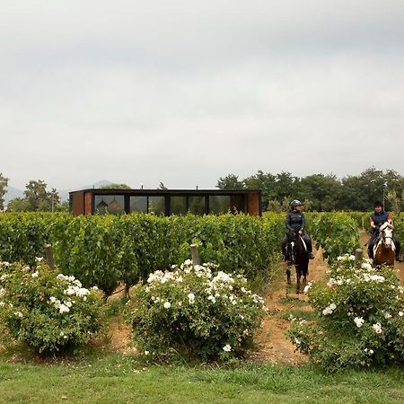 Vibo Wine Lodge At Viu Manent Santa Cruz Eksteriør billede