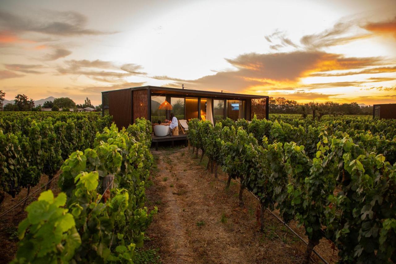 Vibo Wine Lodge At Viu Manent Santa Cruz Eksteriør billede