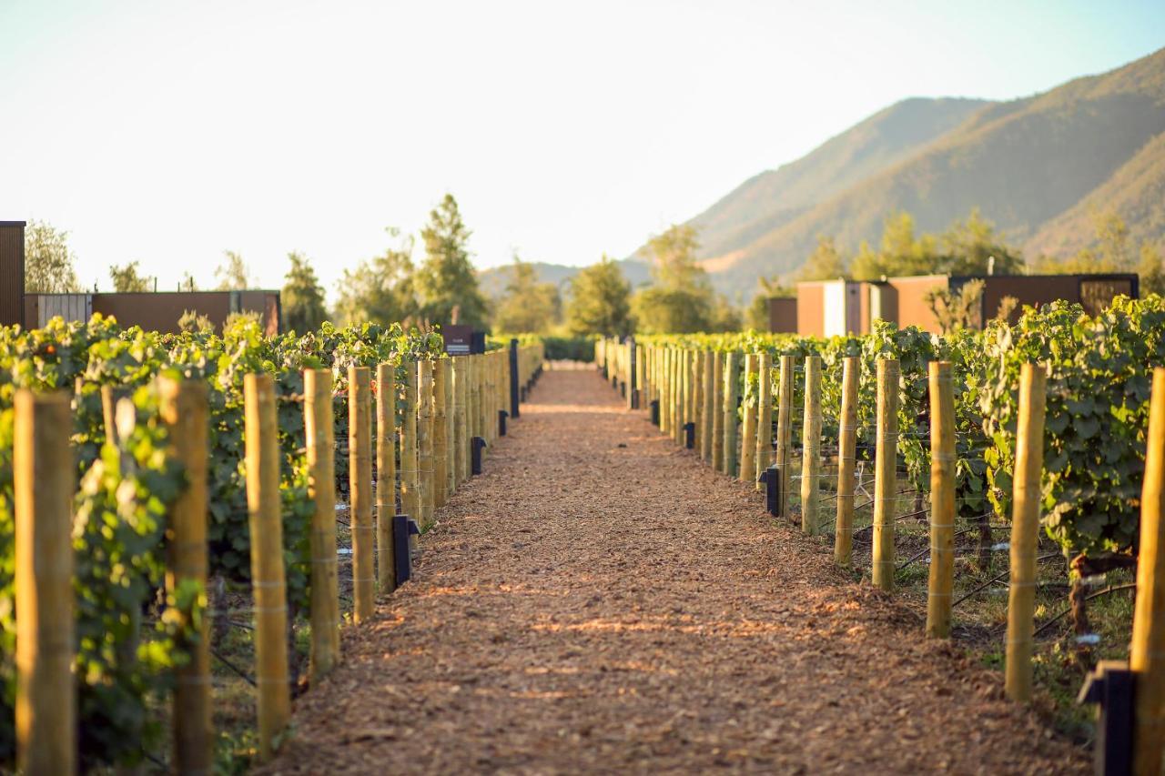 Vibo Wine Lodge At Viu Manent Santa Cruz Eksteriør billede